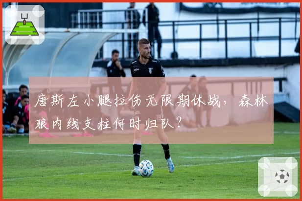 唐斯左小腿拉伤无限期休战，森林狼内线支柱何时归队？