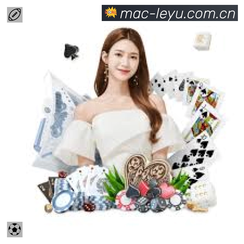 安全使用与支持流程